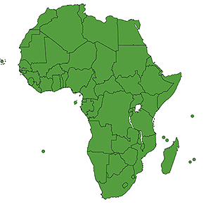 Africa Region