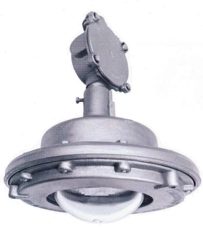 Luminaire Cap DSP Ex