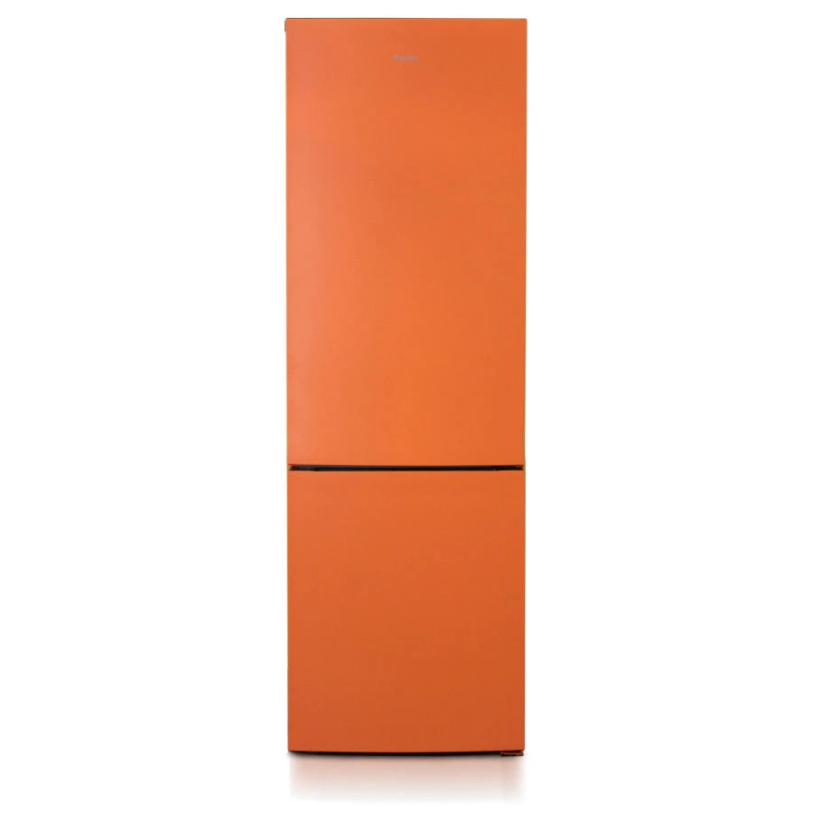 Refrigerator-freezer "Biryusa T6127"