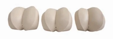 Simulator for rectal examination, LV39A