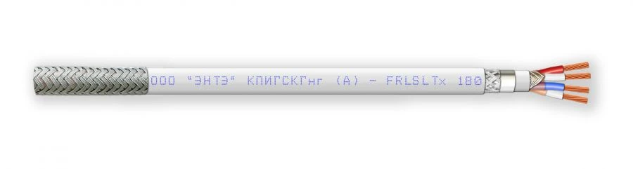 KPIGSKGGng(A)-FRLSLTx
