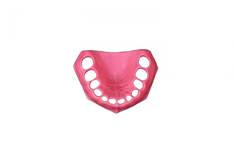 Gingiva for maxilla of paediatric dental model PD-DV DM24
