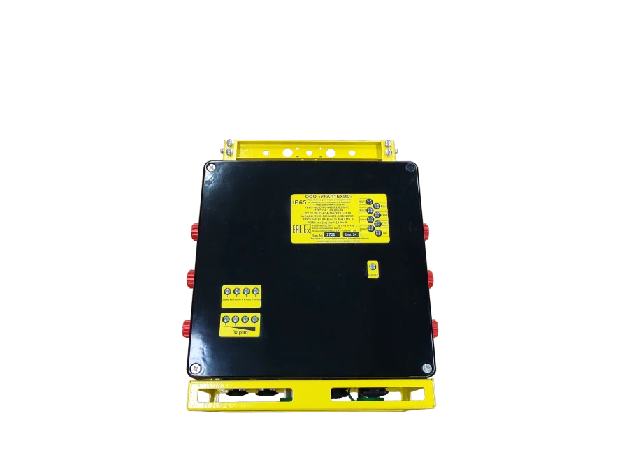 Personnel and transport registration device with data transmission in information networks URPT-IS-S-RO-W6-P2-E3-IP65 TIS 2.4.3.