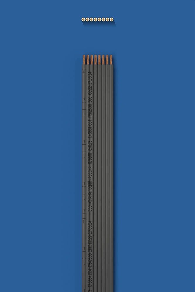Installation flat wire with two-layer (double) insulation PUUVVVPG 8õ0,75