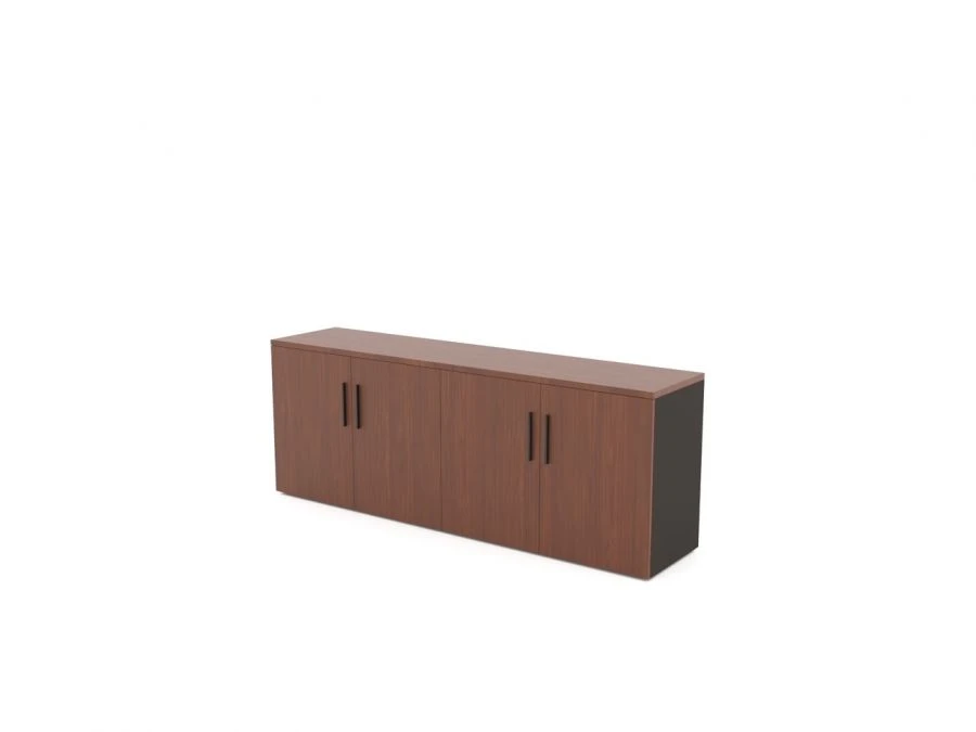 Synergy low cupboard with hinged doors