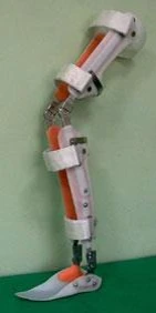 Ankle and knee joint apparatus