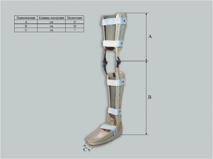 Ankle and knee joint apparatus
