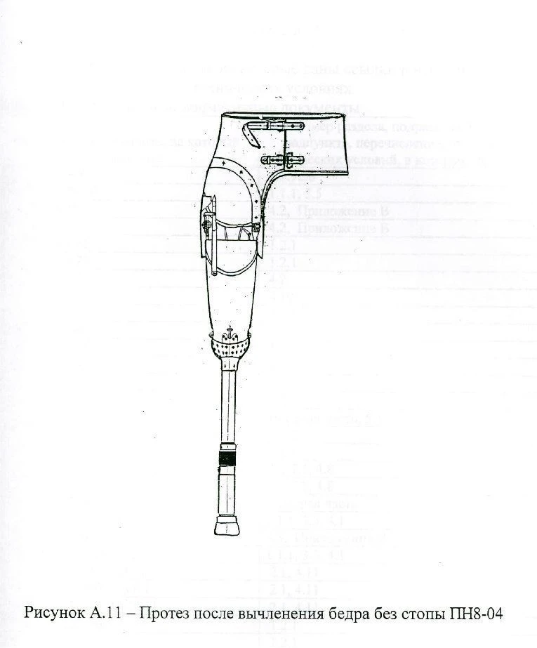 Hip disarticulation prosthesis with leather splint PN8-04