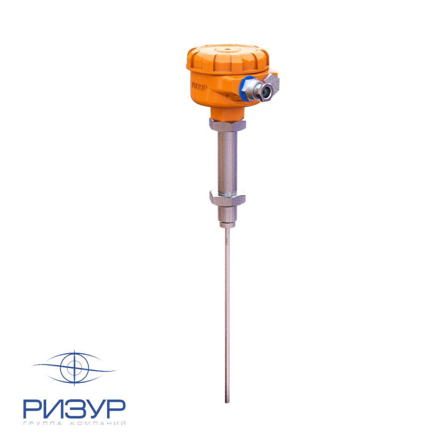 Capacitive level switch RIZUR-101