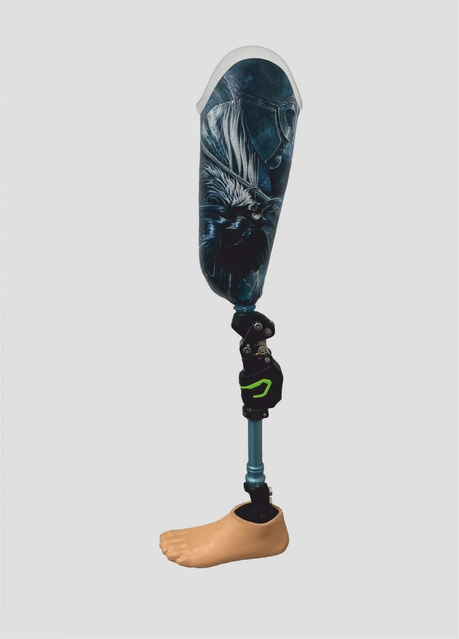 Modular hip prosthesis PN6-71