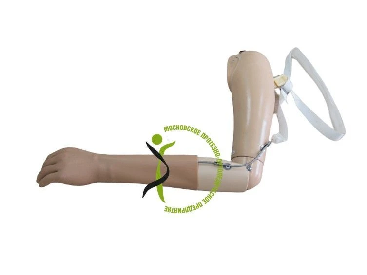 Active shoulder prosthesis PR4-22