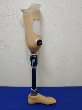 Hip prosthesis for bathing