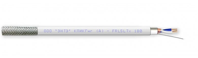 KPIKGng(A)-FRLSLTx