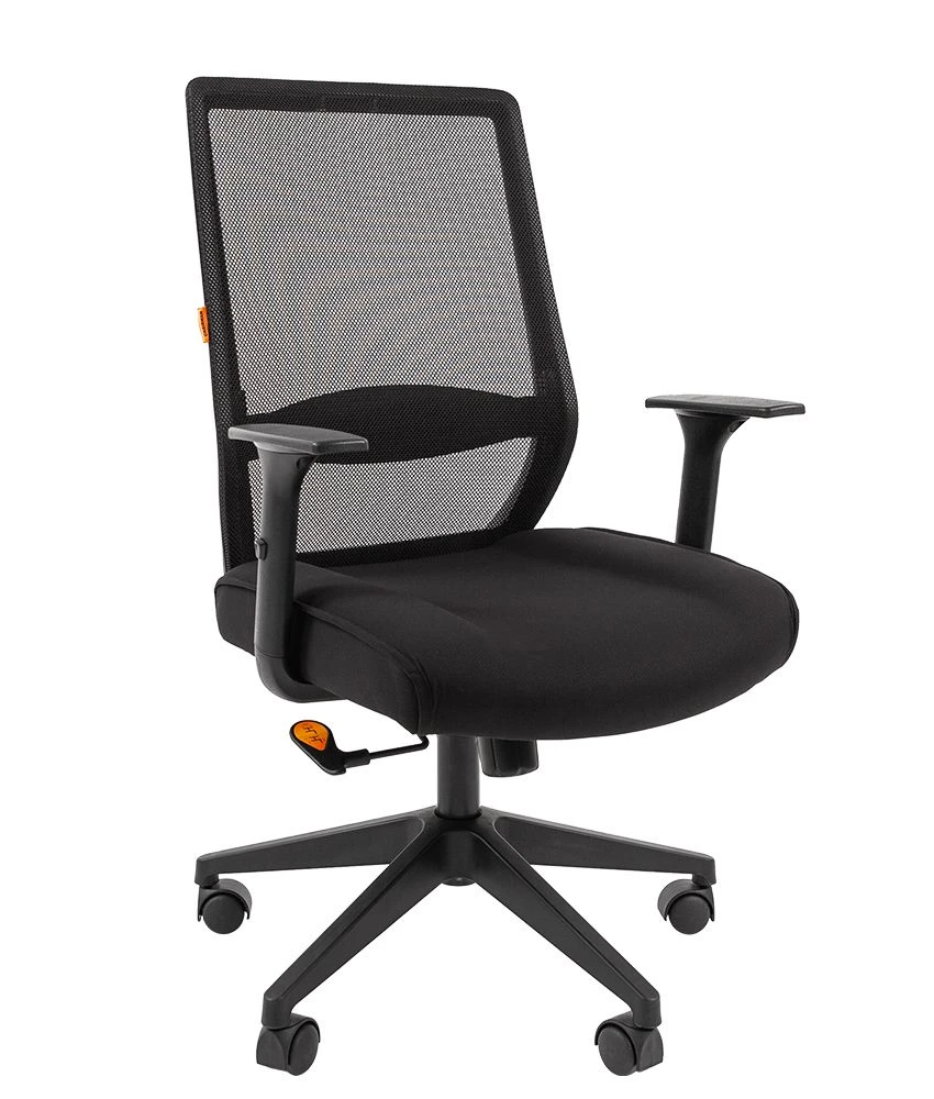 Armchair model CHAIRMAN 555LT