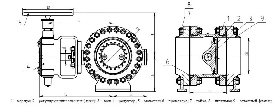 Regulating disc gate ZR