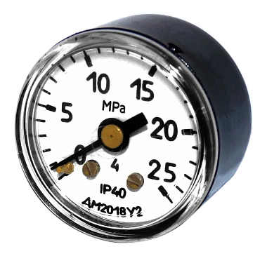 Indicating pressure gauges DM2018