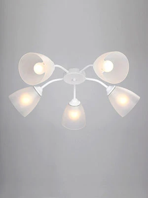 General purpose fixed luminaire V3761/5PL