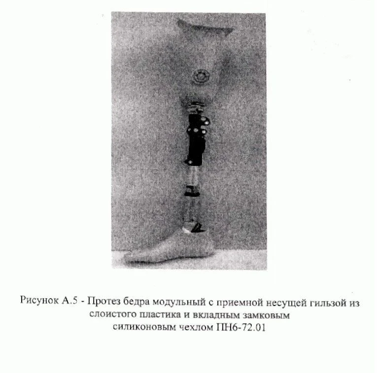 Training hip prosthesis PN6-72