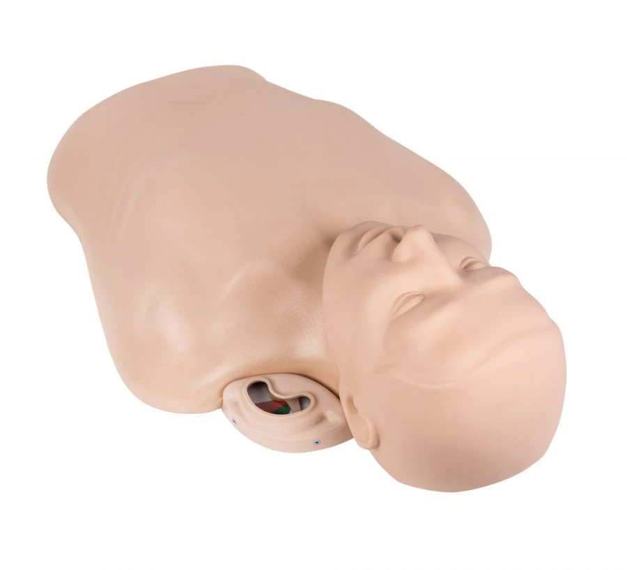 Resuscitation phantom (torso) with controller ZIK-22