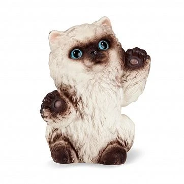 Kitten Goodwin