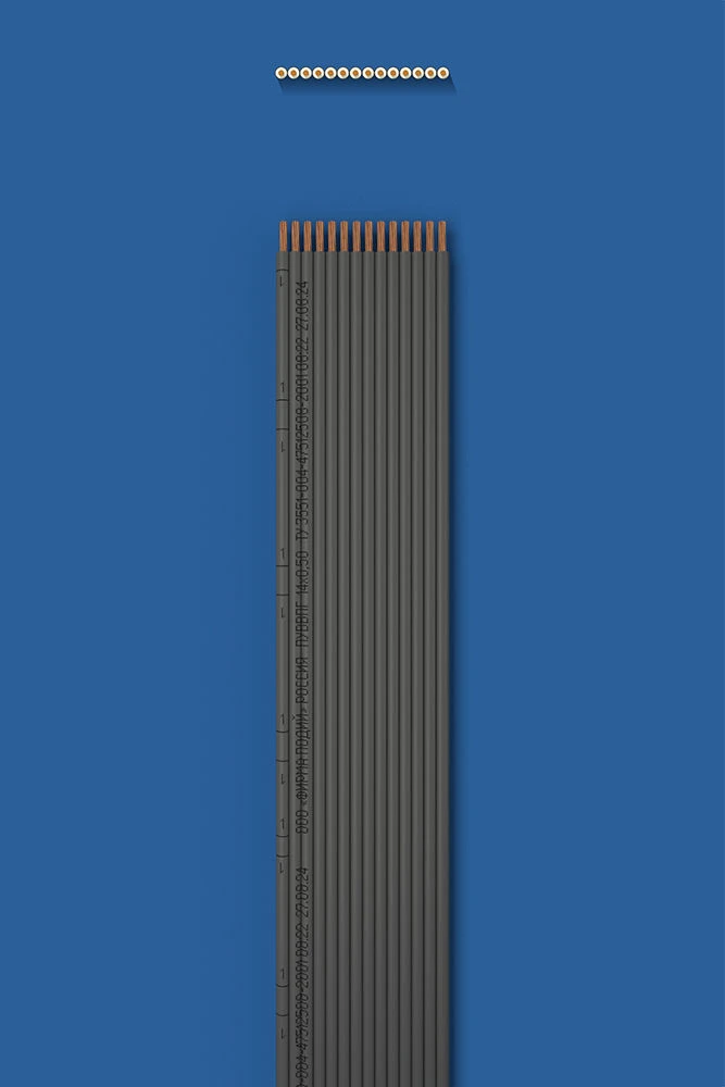Installation flat wire with two-layer (double) insulation PUVVPG 14õ0,50