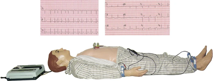 Dummy for ECG skills training, art. no. PE6415/XDI