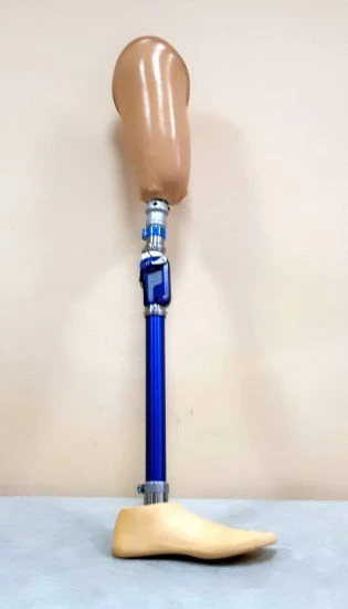 Hip prosthesis for bathing PH6-72K