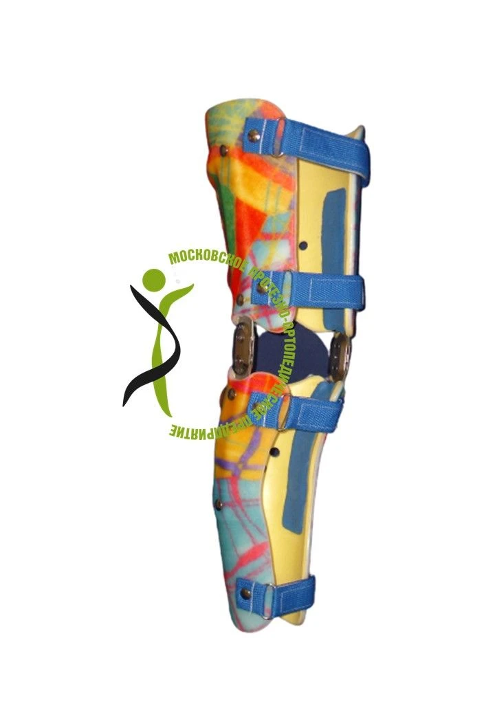 Knee joint apparatus AN4-30