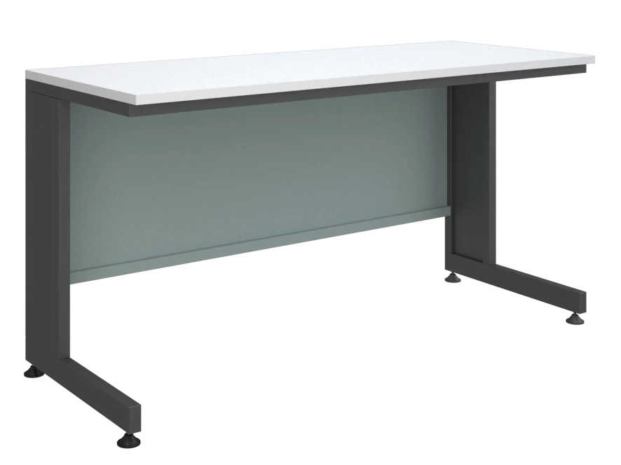 Low laboratory table 2