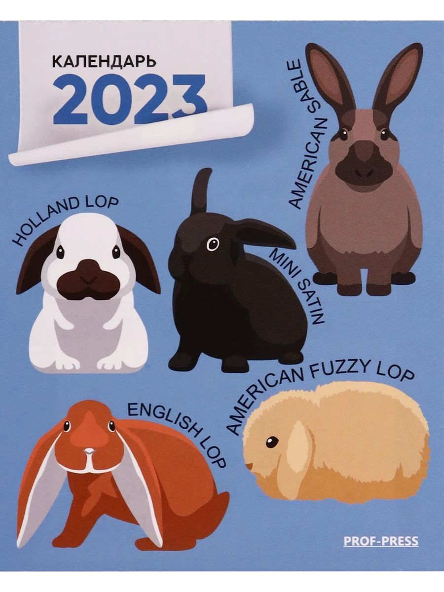 Magnetic calendars