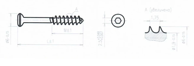 Spongy titanium alloy screw 4.0mm 60mm