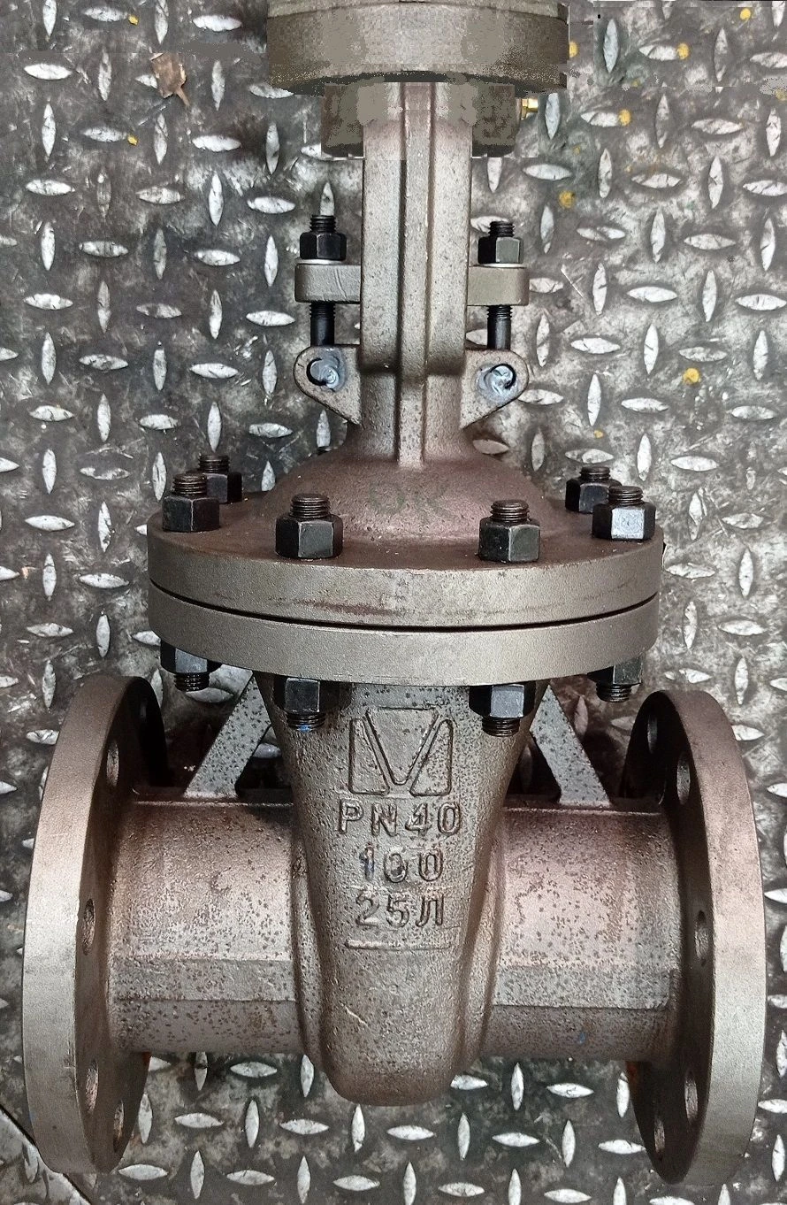Steel wedge gate valve with sliding spindle under drive RN 4,0 MPa DN 100