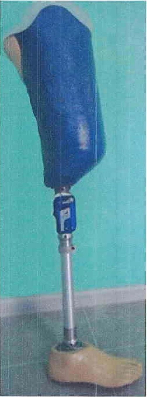 Hip prosthesis for bathing PH6-01K-OC