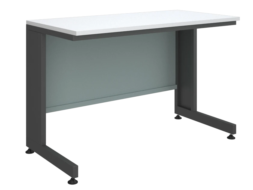 Low laboratory table 1