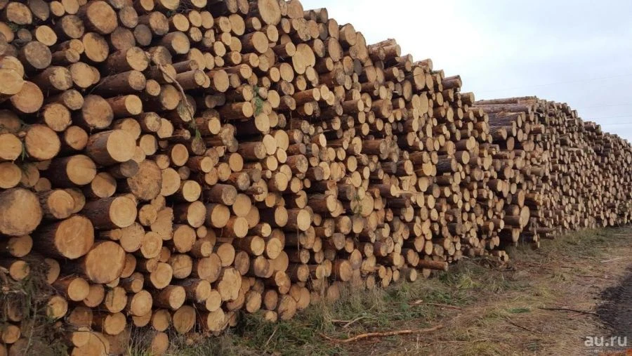 Round Coniferous Timber Materials for Construction