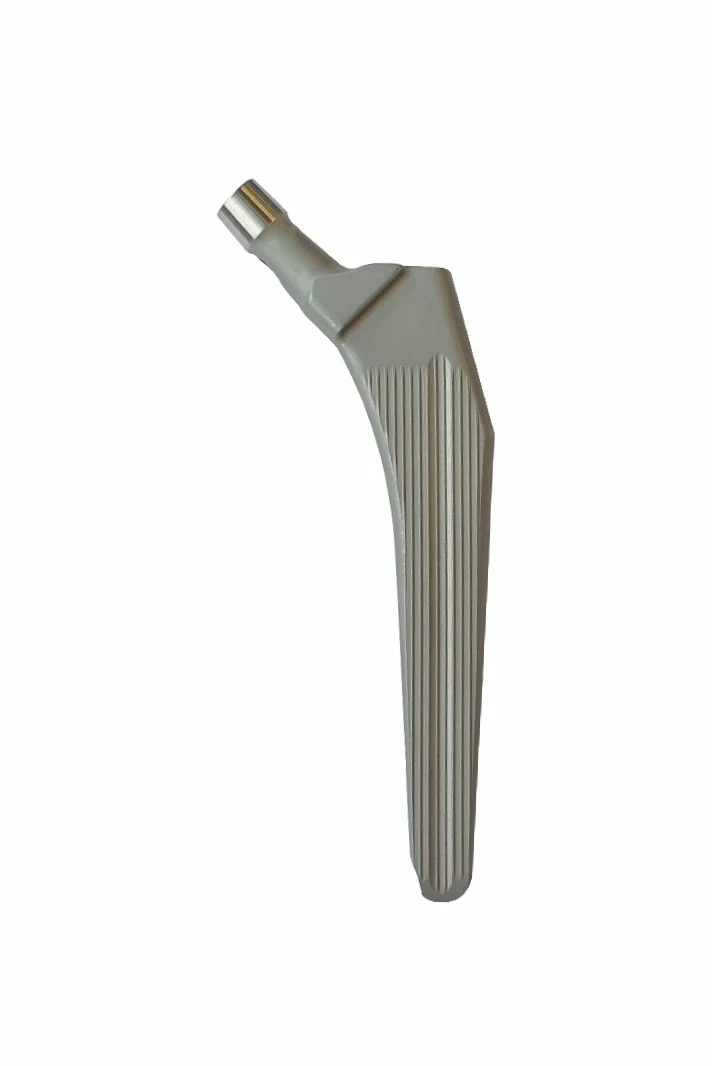 Stem No. 1 of cement fixation, modification "Lateral"