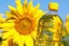 Unrefined vegetable sunflower oil 1st grade
