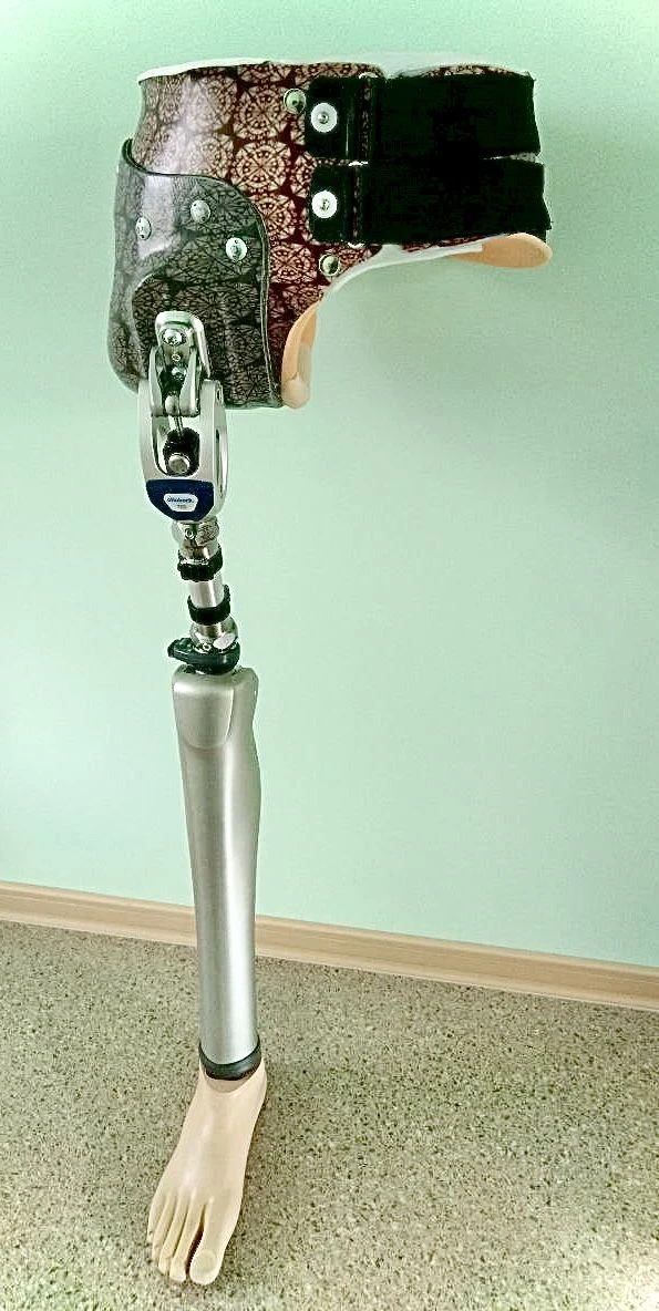 Modular Hip Separation Prosthesis PN8-T