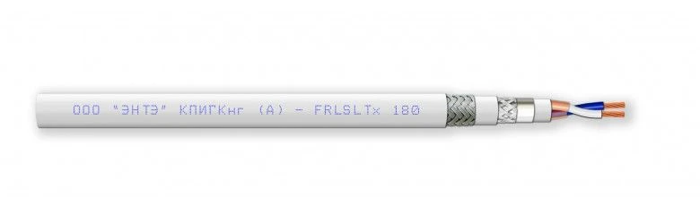 KPIGKng(A)-FRLSLTx