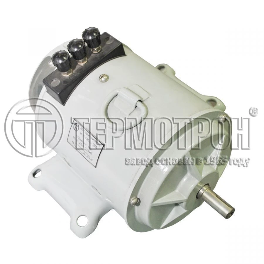 Electric motor MSP-0,15-160 YUKLYa.527124.003.
