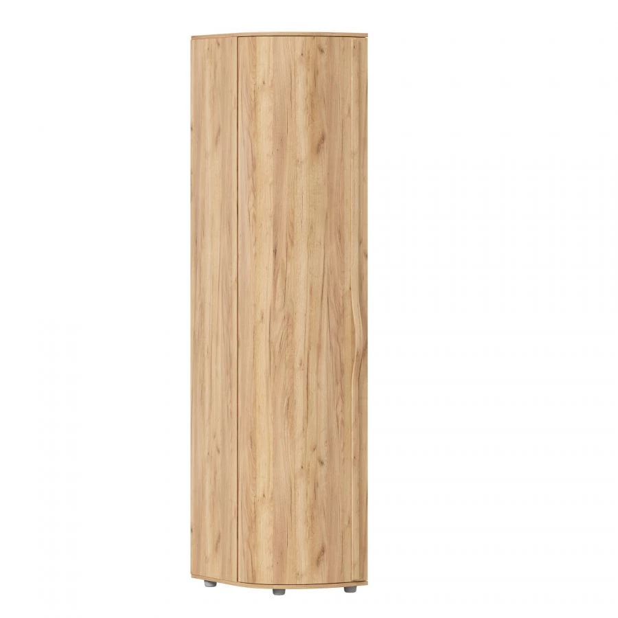 Marta-2 LD.406070.000 Cupboard with bent door left (Golden Oak/Tortuga Oak)
