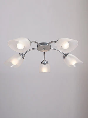 General purpose fixed luminaire V3761-9/5PL