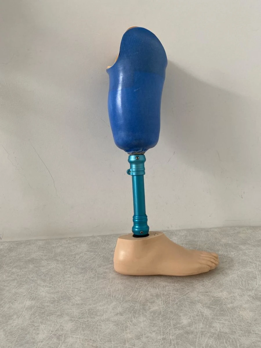 Modular tibial prosthesis PN3-87LT for therapeutic and training purposes