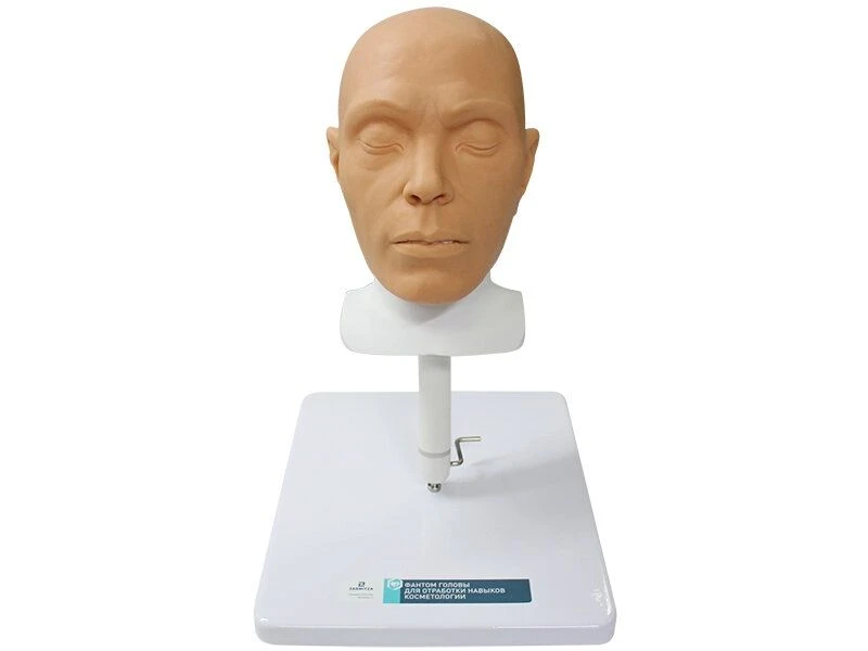 Head phantom for practising cosmetology skills MU0627
