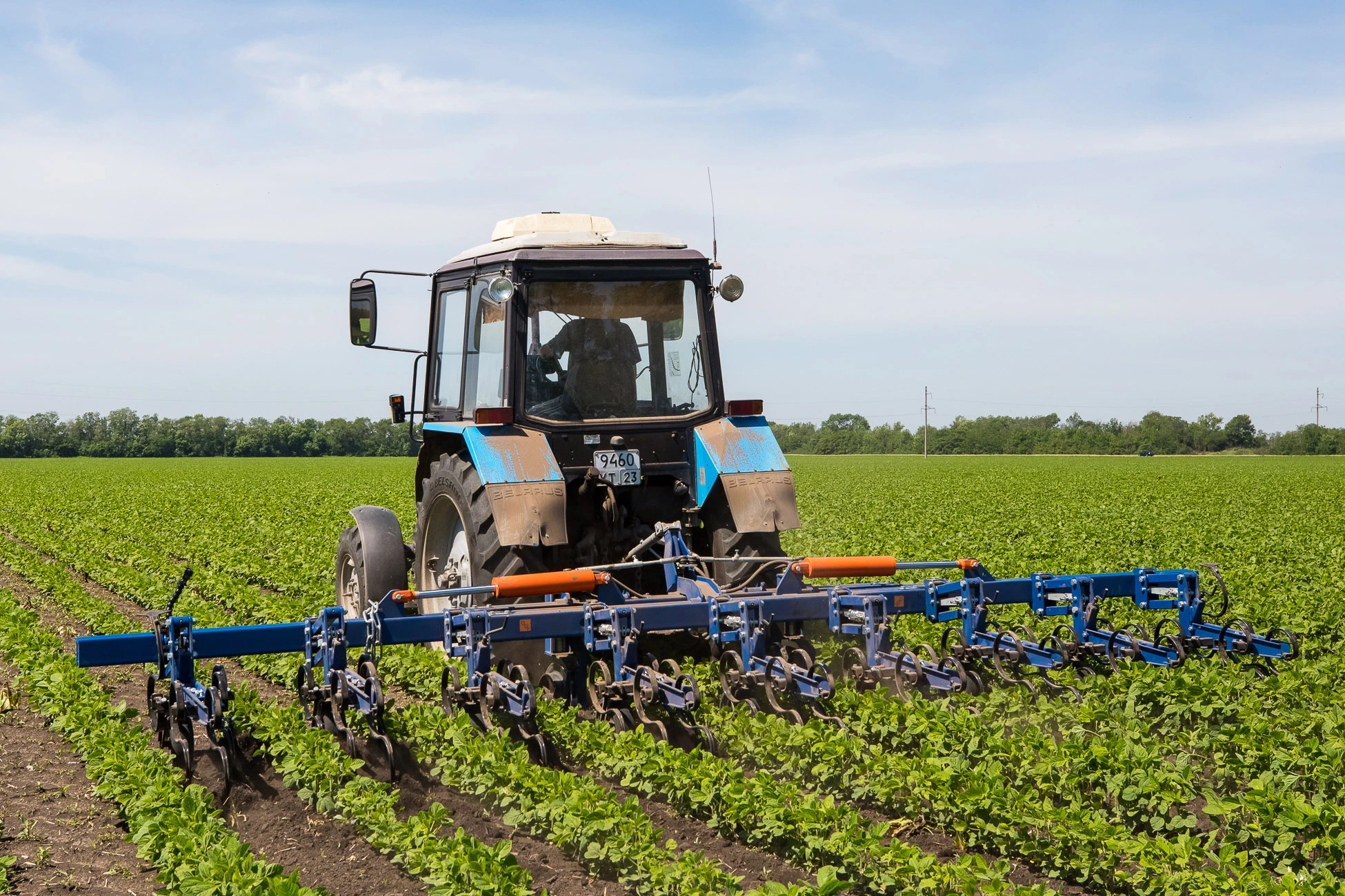 Cultivator at work