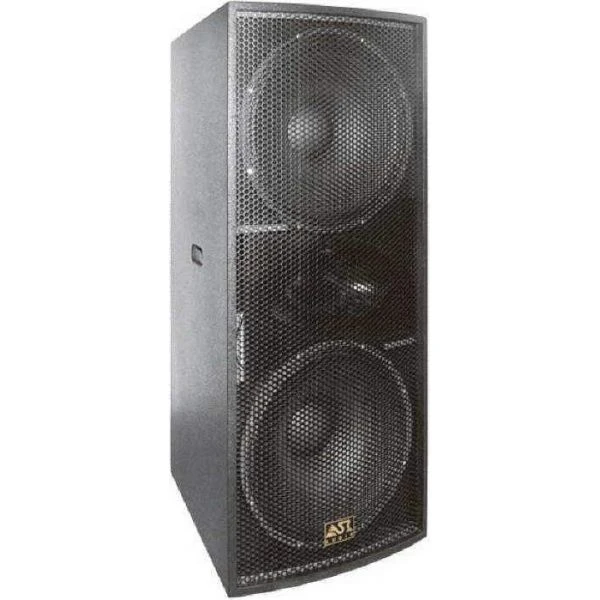 ASR SA-615C passive speaker system