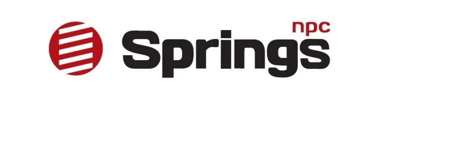 Rear spring 9831658480