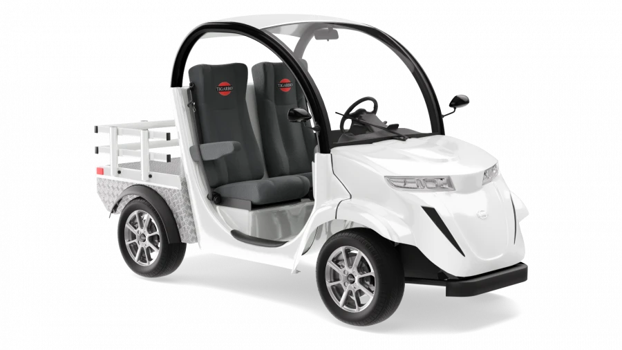 Electric car "Elekar 5E-TIGARBO" 2G