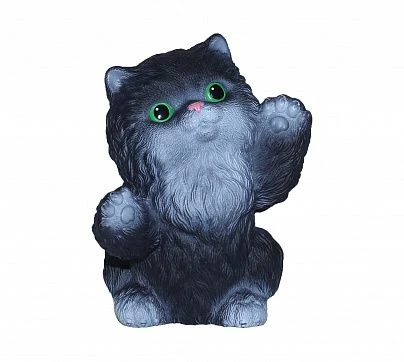 Kitten Tishka