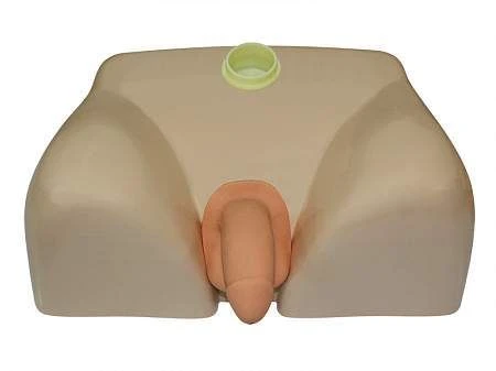 Male catheterisation model NS6032A